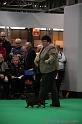 Crufts2011_2 1072